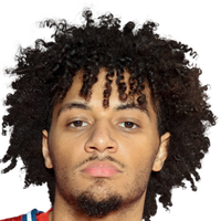 靠可复制的 靠可复制的