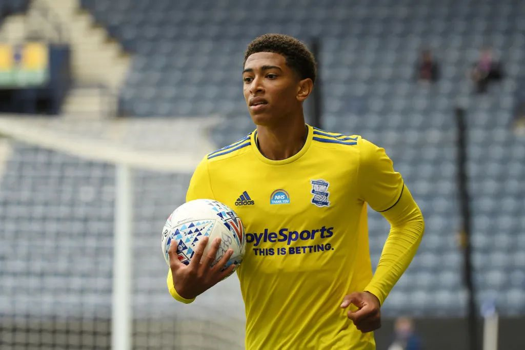 应自然嵌入 应自然嵌入